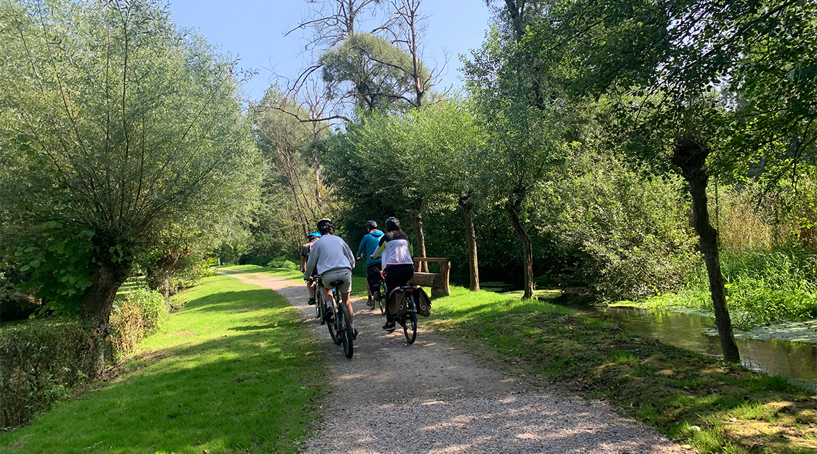 A family of four cycle away along a leafy cycle path adjacent to a small river